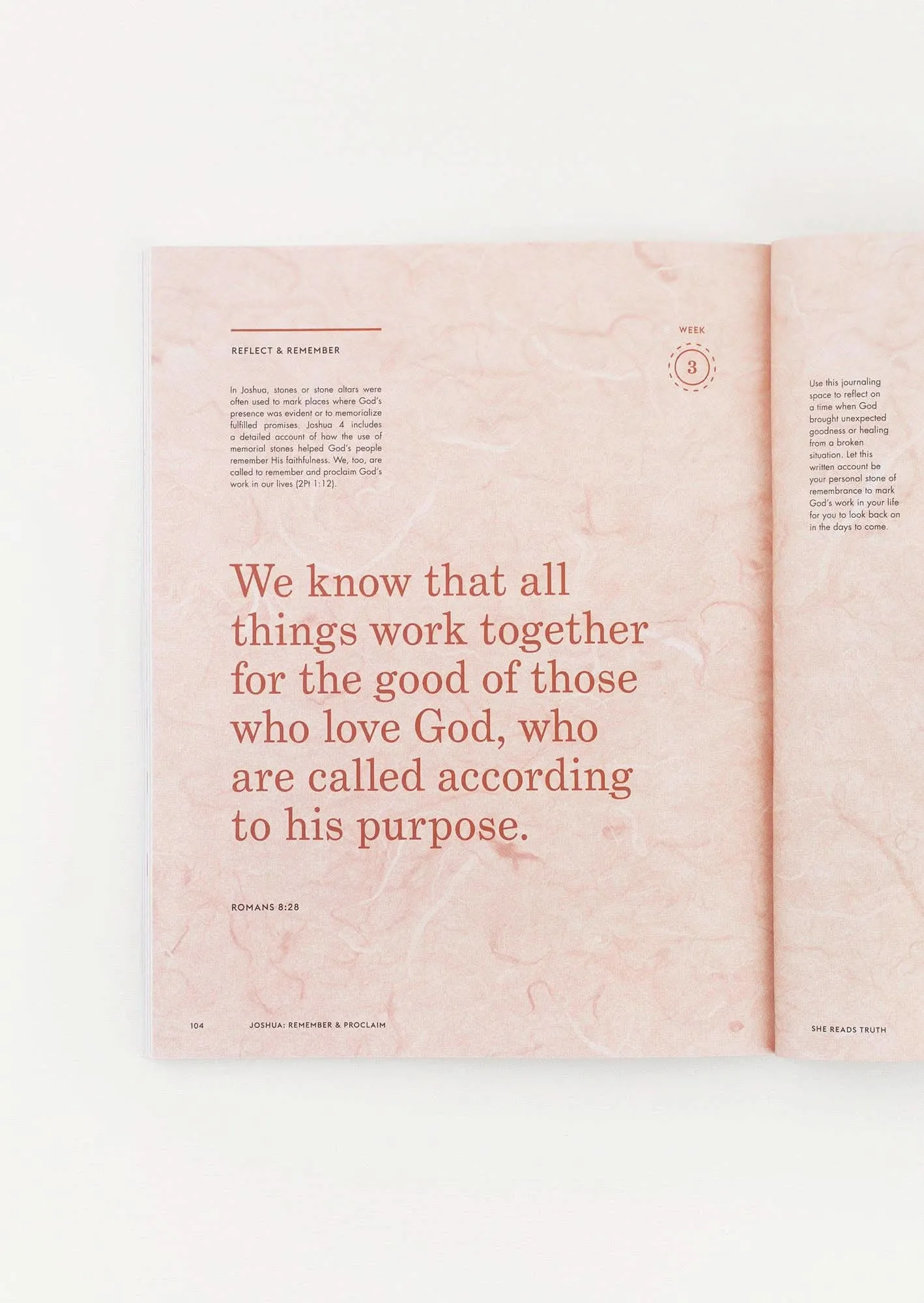 Joshua Study Book | She Reads Truth