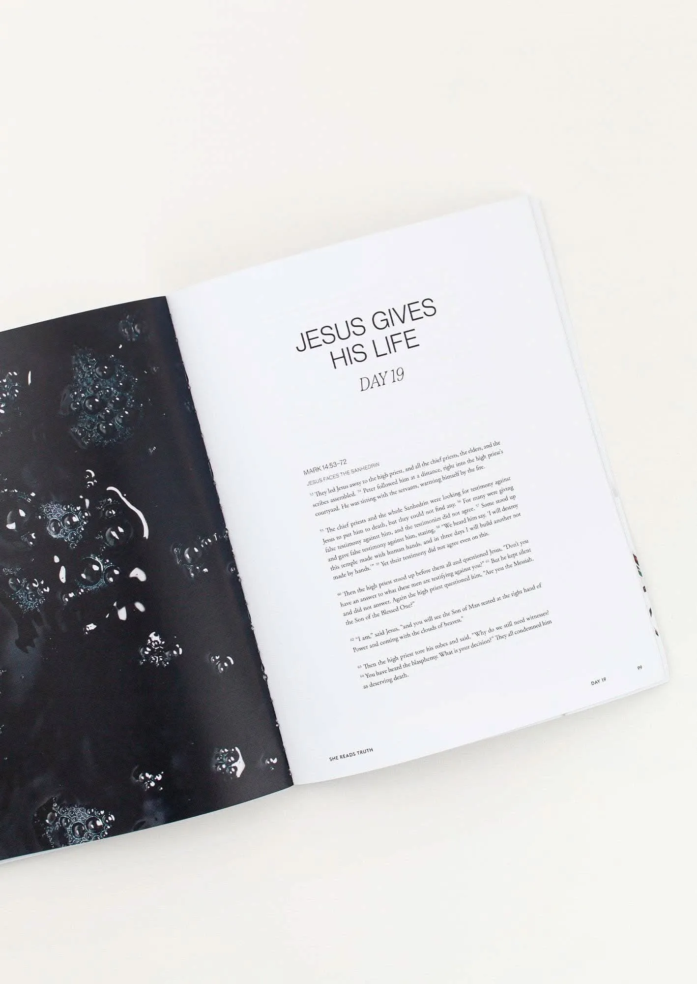 Mark Study Book | She Reads Truth
