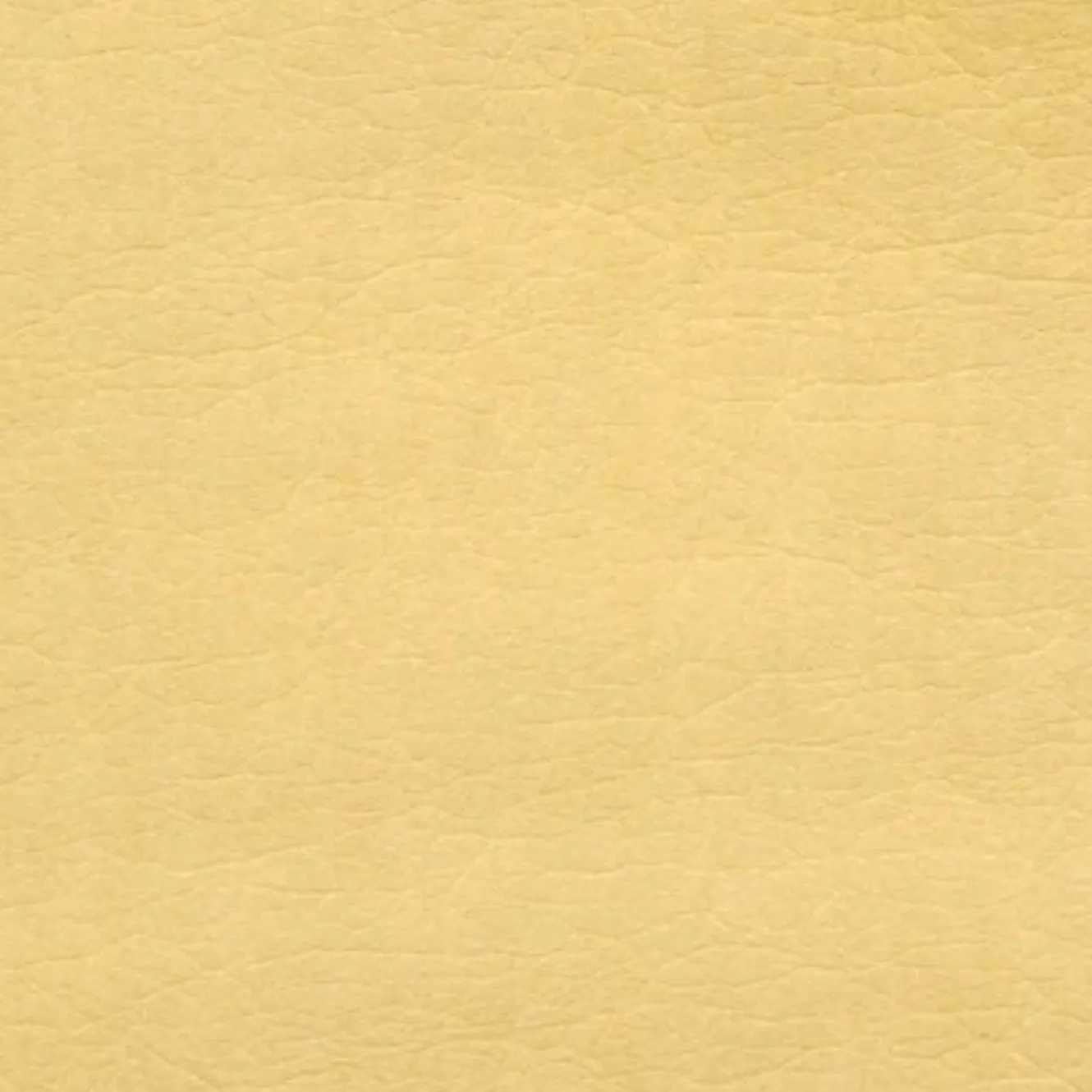 Piñatex® Original Pineapple Leather