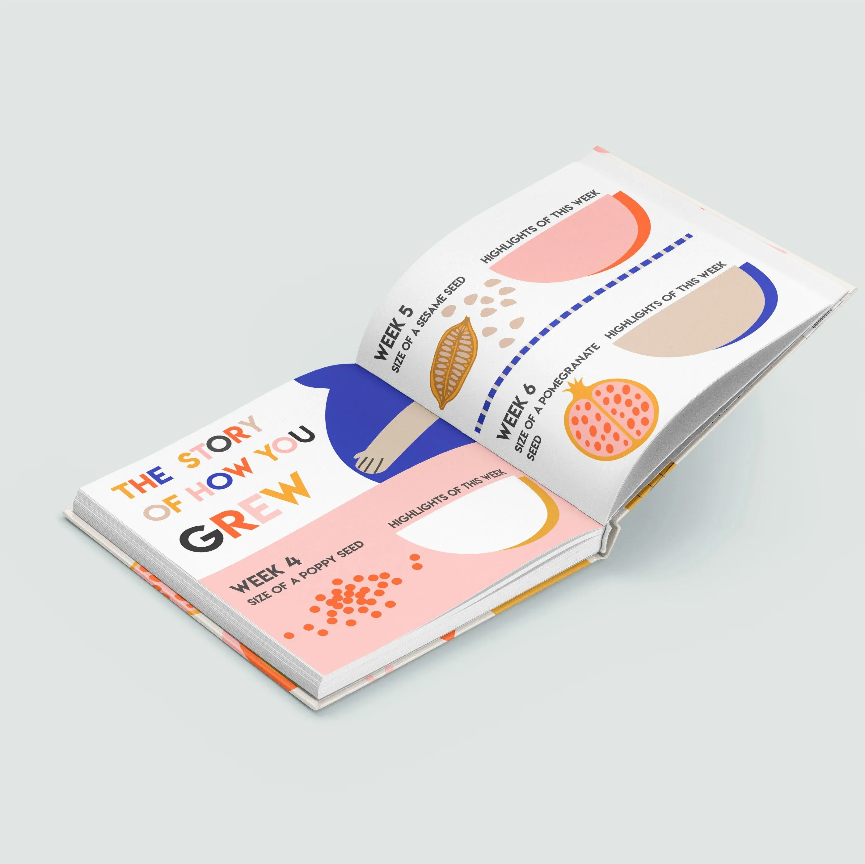 Record Book - My Baby Bump Book