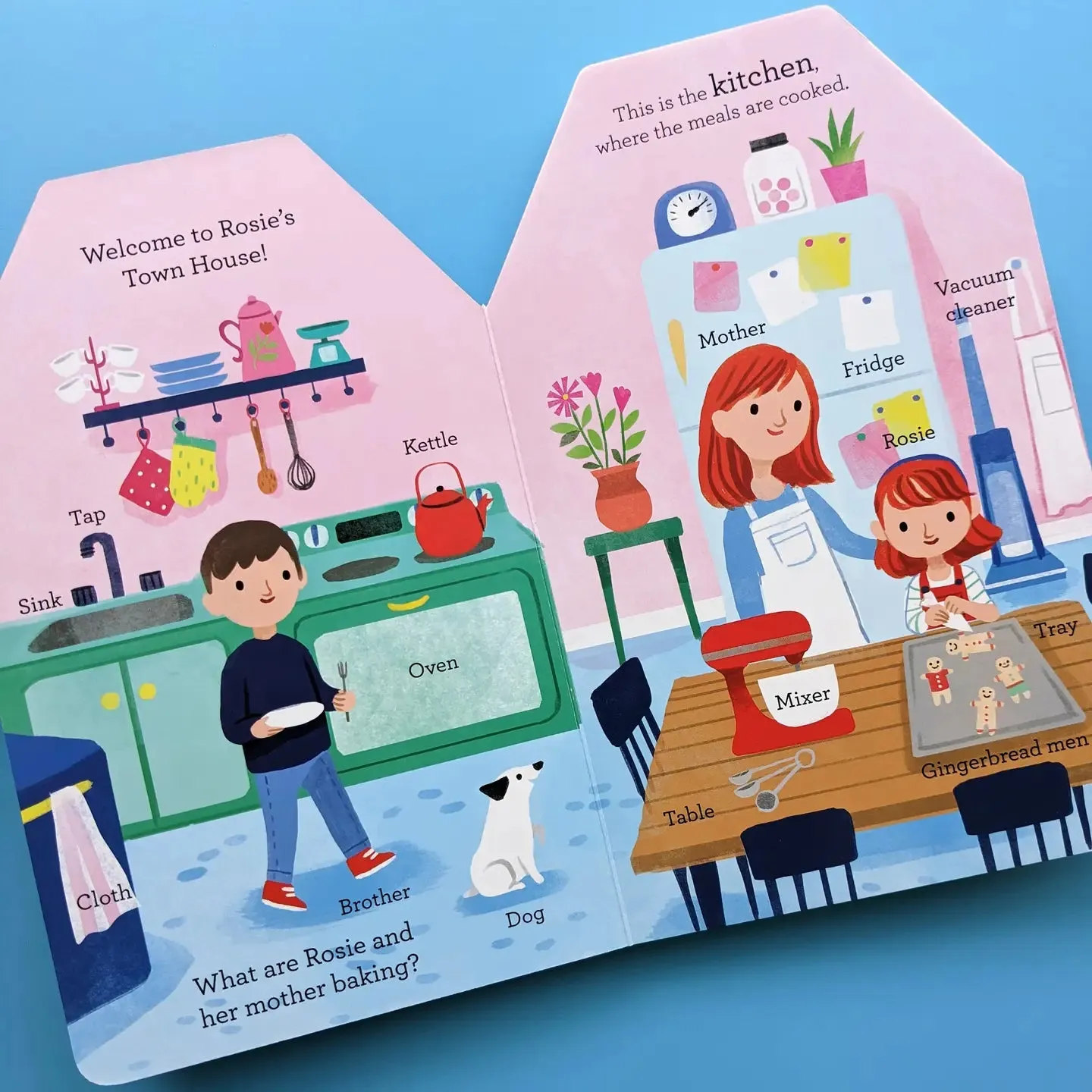 Rosie's Town House Book